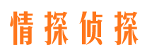 保定外遇调查取证